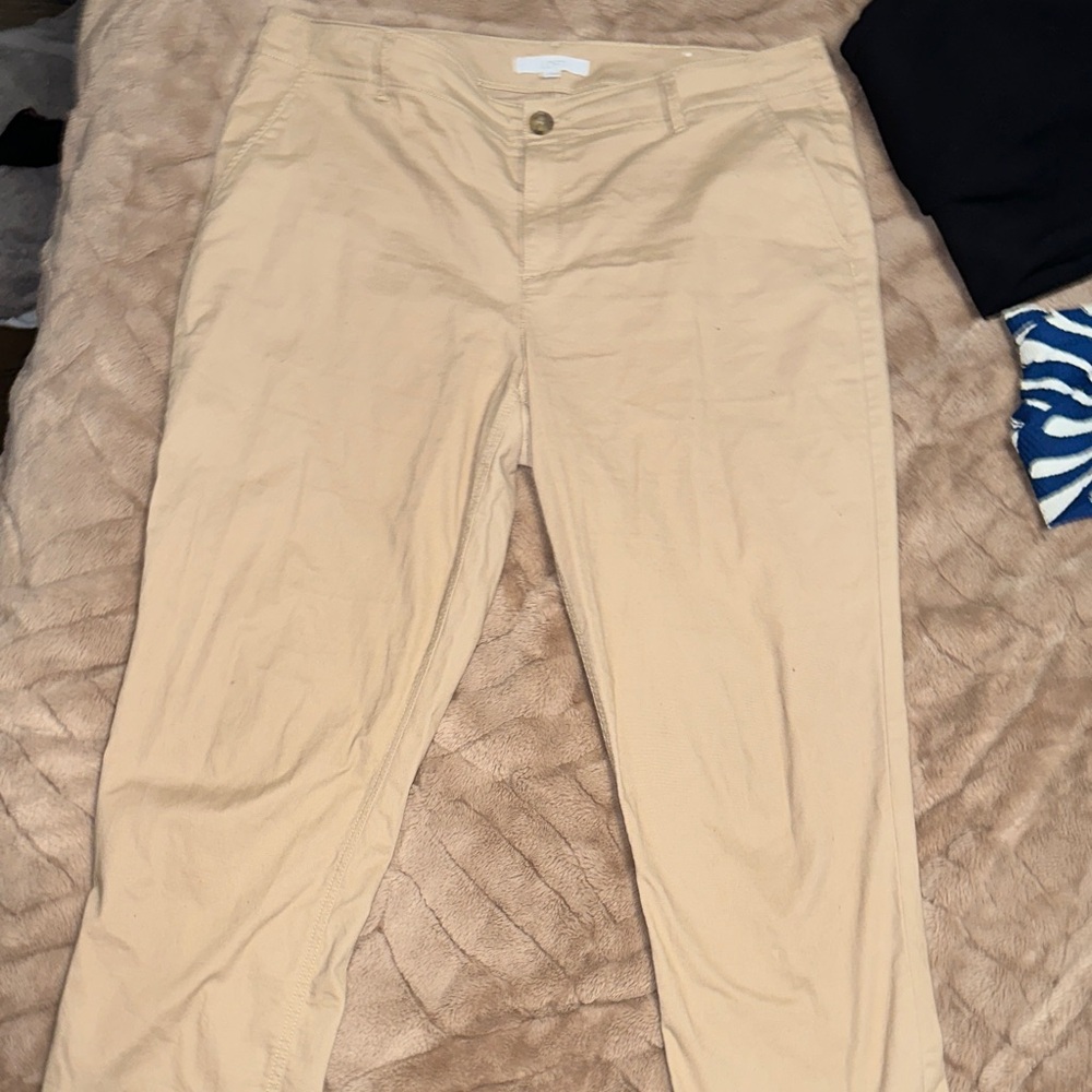 Loft Tan Pants